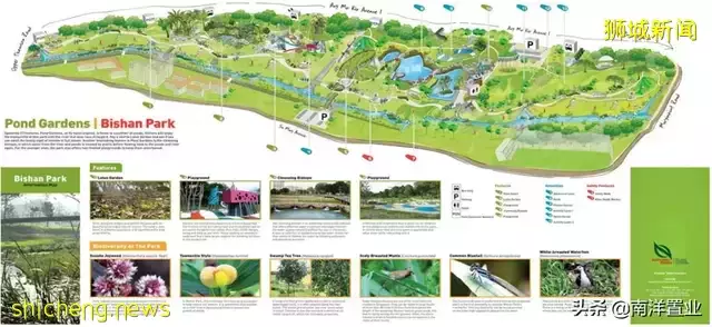 AMO Residence會是下一個JadeScape嗎