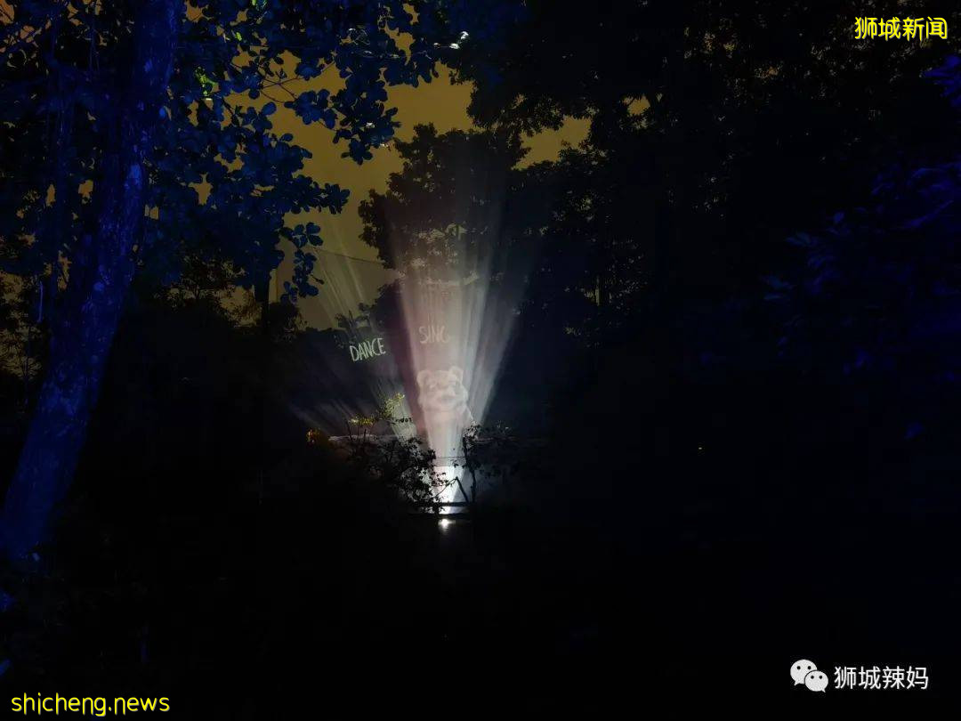低至S$8！就3天！新加坡動物園“幻光雨林之夜”強勢回歸，亞洲第一夜遊體驗