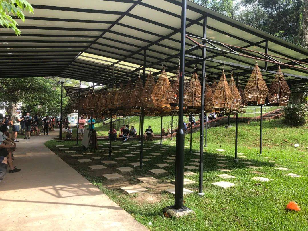 新加坡遛娃新地點~你絕對沒聽過的免費“動物音樂會”，孩子一定喜歡