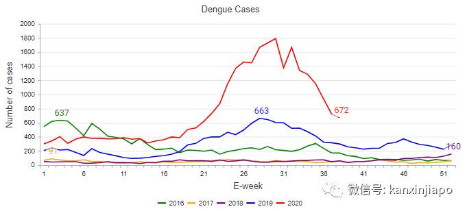 新加坡近3万人患骨痛热！毒蚊带走健康母亲，入院11天生离死别