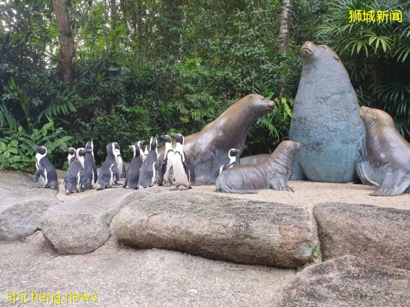 解封後，新加坡有“一對情侶”在馬路上沒戴口罩，公然擁抱!