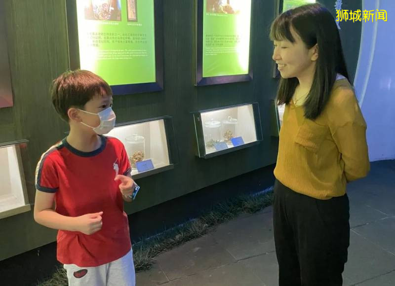 新加坡大雨一直下,媽媽這個是啥蘑菇?能吃嗎?額