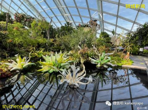 视觉冲击力超强,巨型玻璃雕塑“攻占”新加坡滨海湾