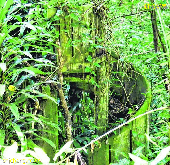 当年,郁达夫和徐悲鸿都在此处品尝味道类近荔枝的红毛丹,还双双留诗;一文了解新加坡汤申自然公园最具备文化内涵的地段