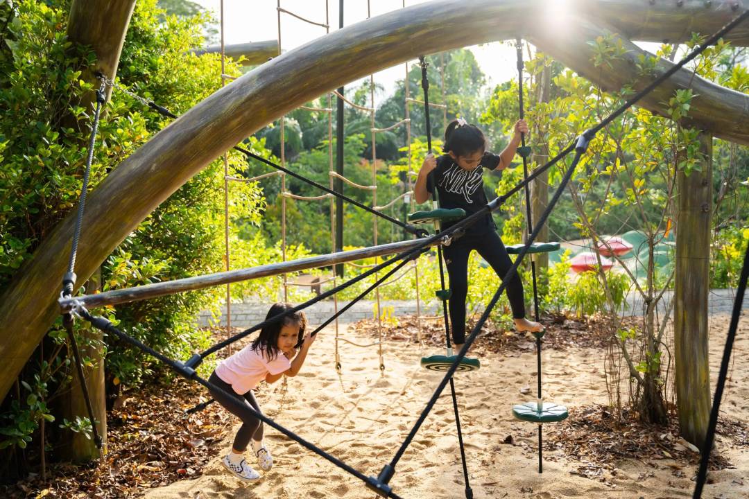新加坡植物園爆火新景點,不知道怎麽去?手把手教你遊玩攻略