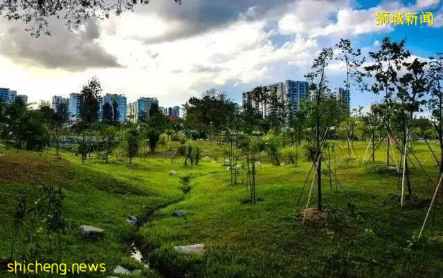 美到不行的裕廊湖畔花园,你不来打卡一下吗
