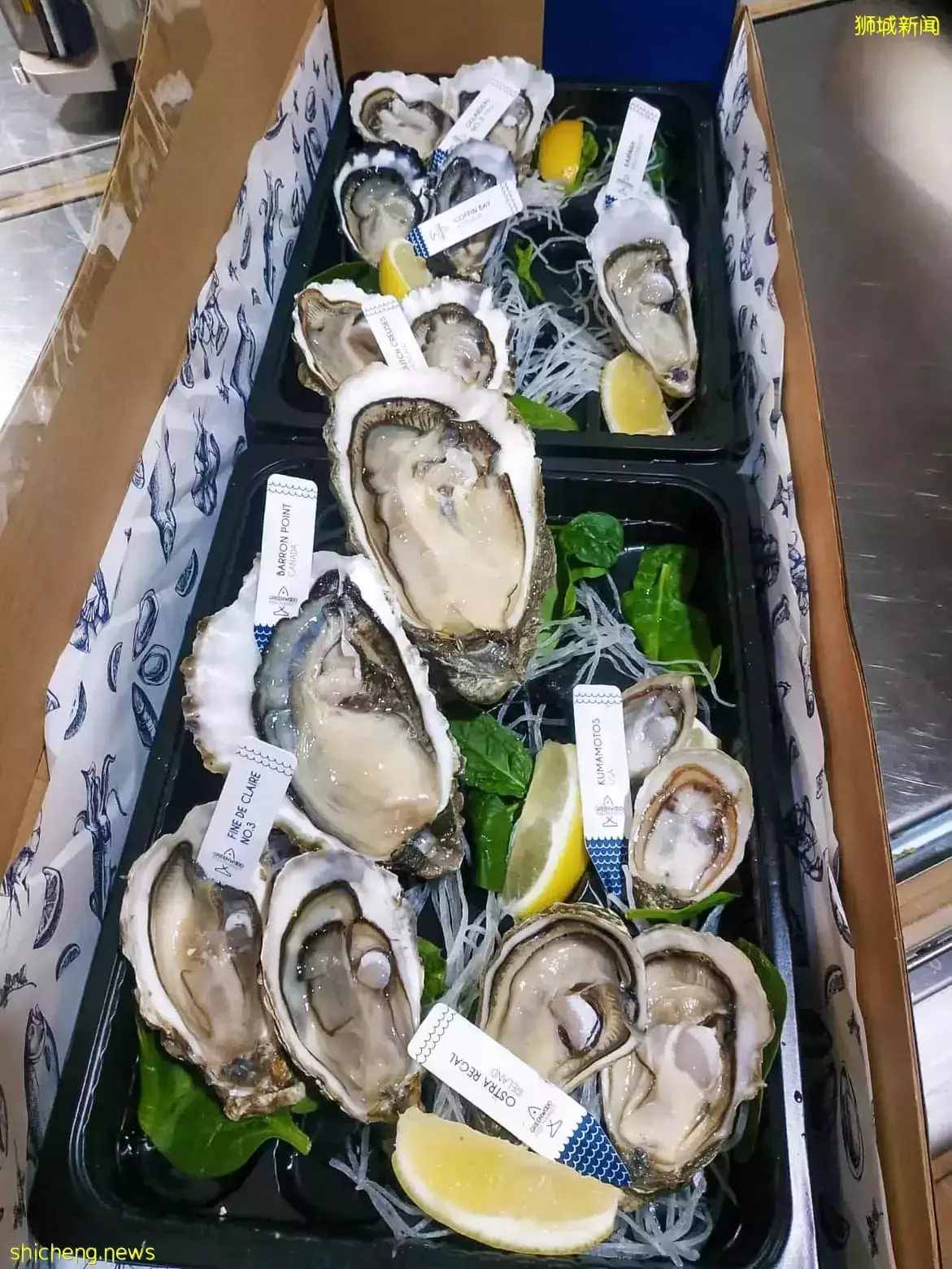 世界生蚝品鑒節!全世界七大知名産地、29種生蚝🦪一次性吃到爽