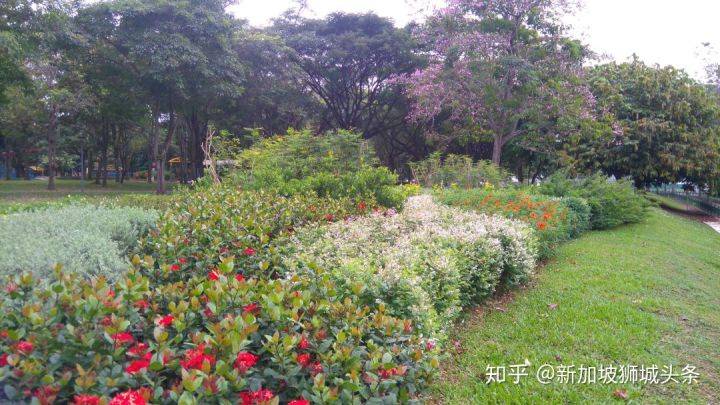 淡滨尼 Tampines: 嬉耍玩乐怎么玩？新加坡最强攻略