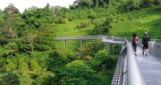 玩在獅城 周末一起去大自然裏野餐——新加坡最適合野餐的十大自然公園
