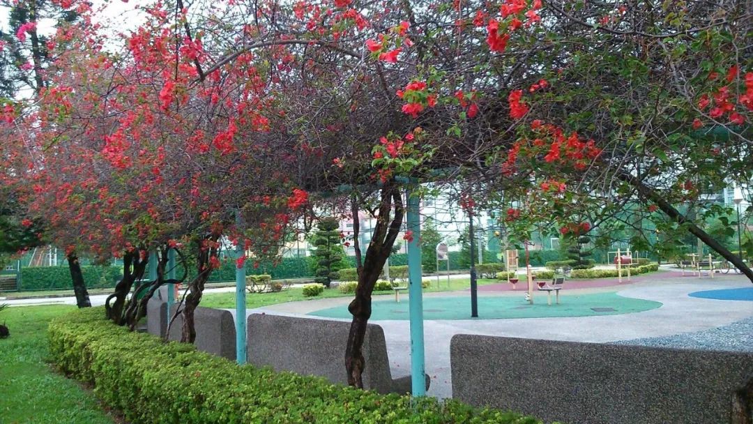 “大英帝国最好的机场”就在新加坡？