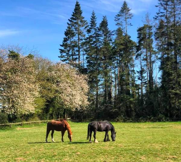 周末假裝出國遊!新加坡最具異國風情的小衆景點推薦