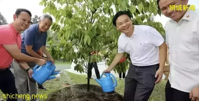 李显龙和接班人黄循财一起开记者会，官宣重要消息