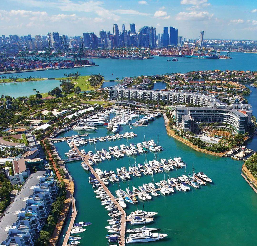 新加坡顶级富豪区升涛湾水道变成粉红色！死鱼成片漂浮，散发出阵阵不可描述的恶臭