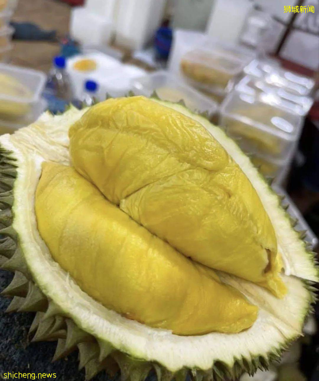 吐血整理！新加坡這20家榴梿太香了！S$11起