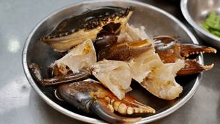 天天漁港-米其林推薦餐廳!絕對不能錯過的海鮮盛宴!