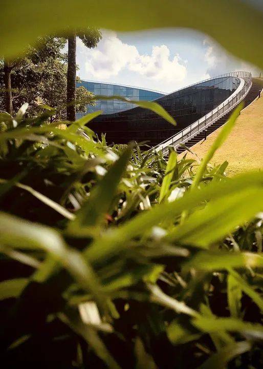 南洋理工大學，每一幀都很美