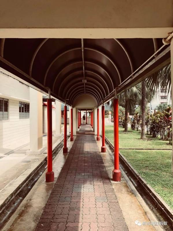 狮城最贴心的一道风景:无处不在的有盖走廊