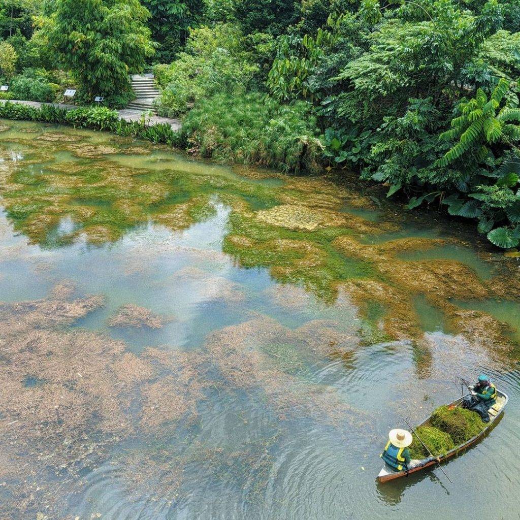 新加坡植物园探秘🤫 小众森林Learning Forest多处美景待解锁💫 沼泽木板步道、悬空吊网巨好玩