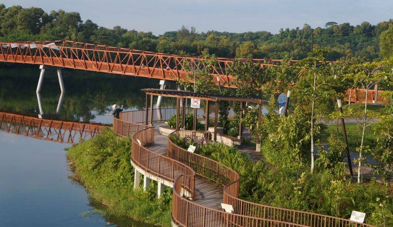 新加坡留學 你永遠都不會知道的關于新加坡的25個冷知識，知道五個算我輸