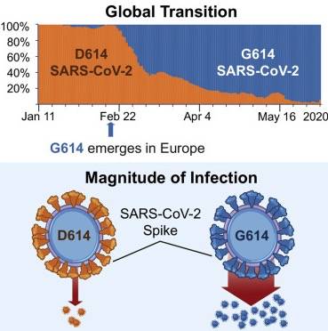 全球首例！二次感染病毒！新加坡連續3天出現客工感染群，會再次爆發？