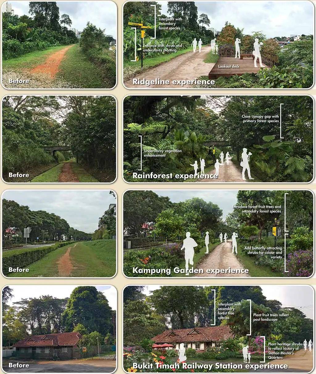 人少!景美!这条曾连接新加坡和马来西亚的“最美”铁路桥重新开放啦