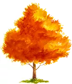 640?tp=webp&wxfrom=5&wx_lazy=1&wx_co=1