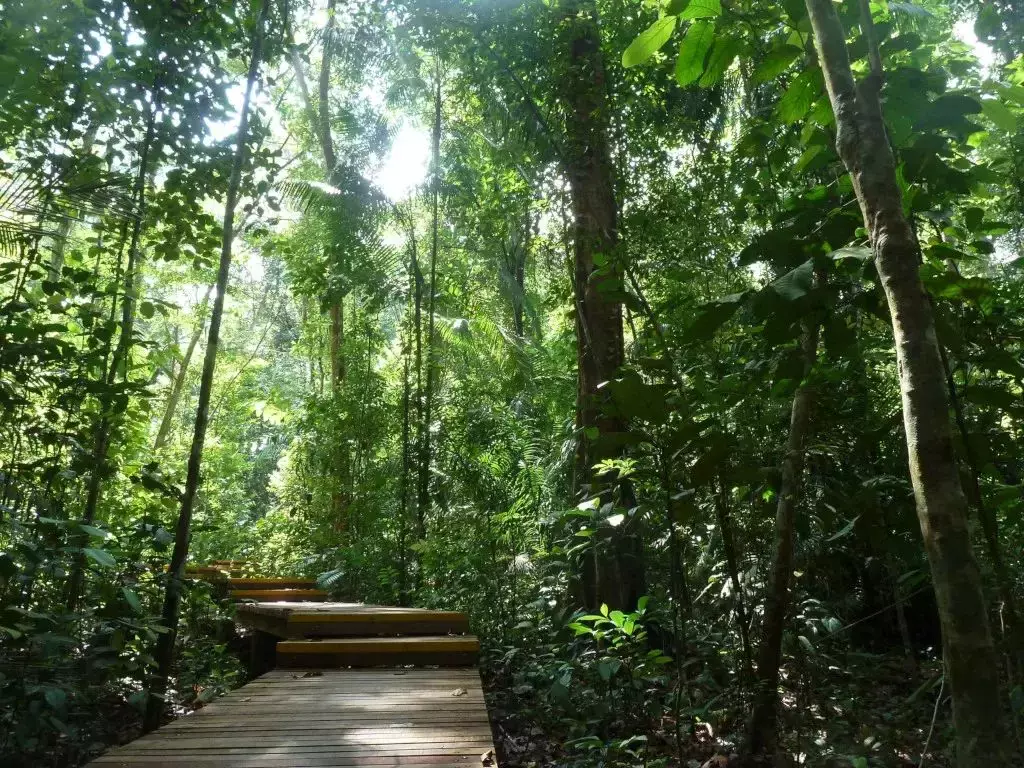 隐藏秘籍！新加坡26条远足路线：寻找长尾猕猴、红毛丹种植园，眺望最美海峡