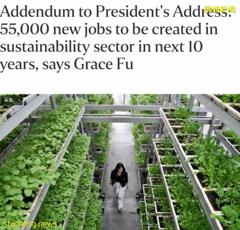 新加坡这家大公司裁掉一半员工!部长:还有5万5000个就业机会