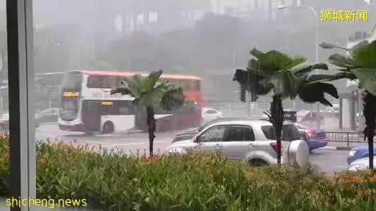 自1980年来最多的一年!新加坡的大雨有点多