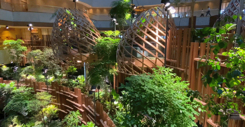 拥有2400多种植物,还有小鸟生活,新加坡这家酒店太美