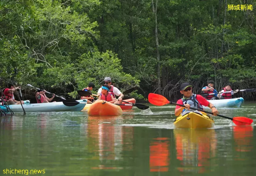 榴梿、野豬、猴子、各種魚蟹……體驗“新加坡最後的農村”