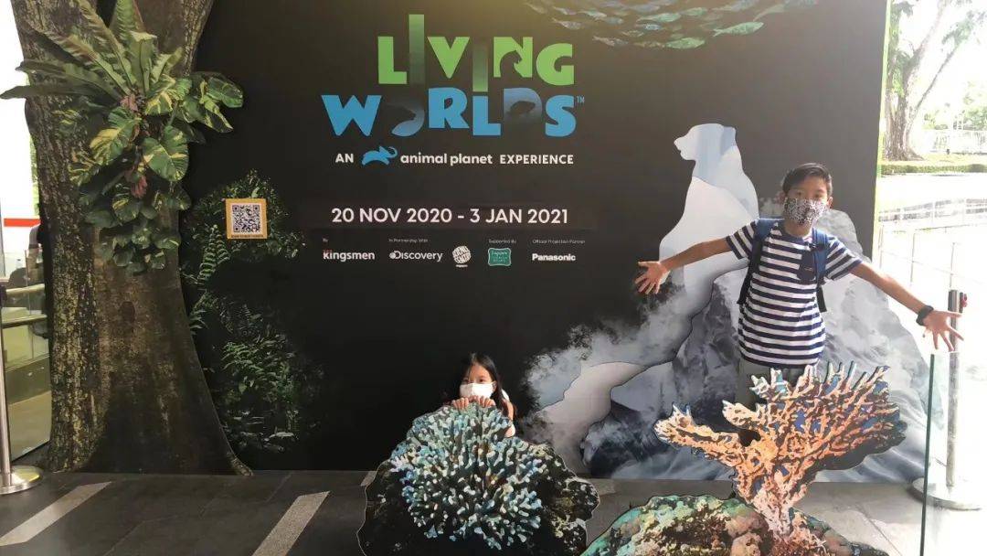 10岁儿子沉迷游戏怎么办?新加坡妈妈怎么机智化解难题