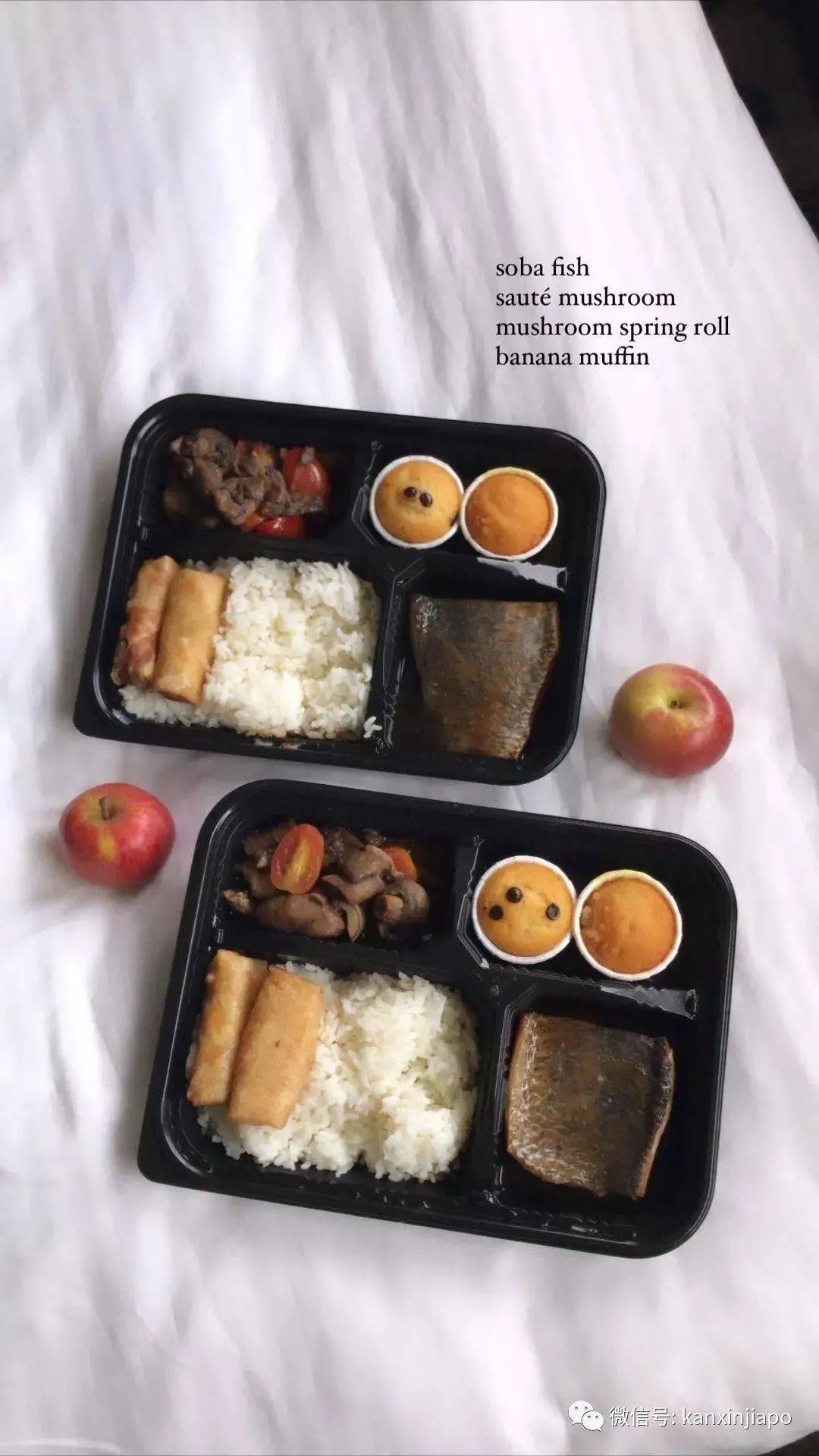 在新加坡4星级酒店隔离吃什么,看了让人流口水