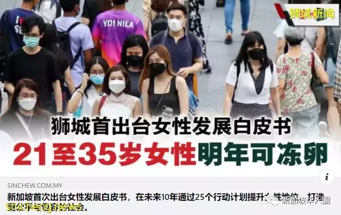 新加坡宣布允許女性冷凍卵子，手術費約$8000，每年冷凍費$500