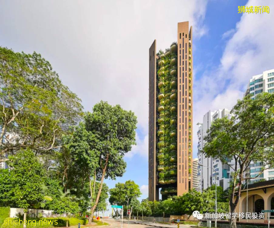 爲什麽世界地圖上的小紅點,卻是富豪“吸鐵石”