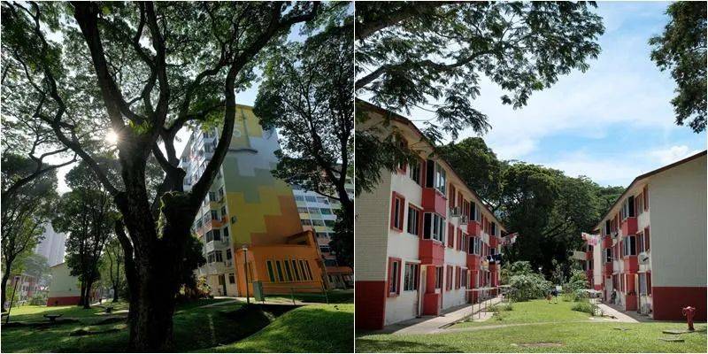 “這裏做的都是熟客，熟到掉下來啦”——逼近搬遷死線的新加坡‘老人區’長啥樣