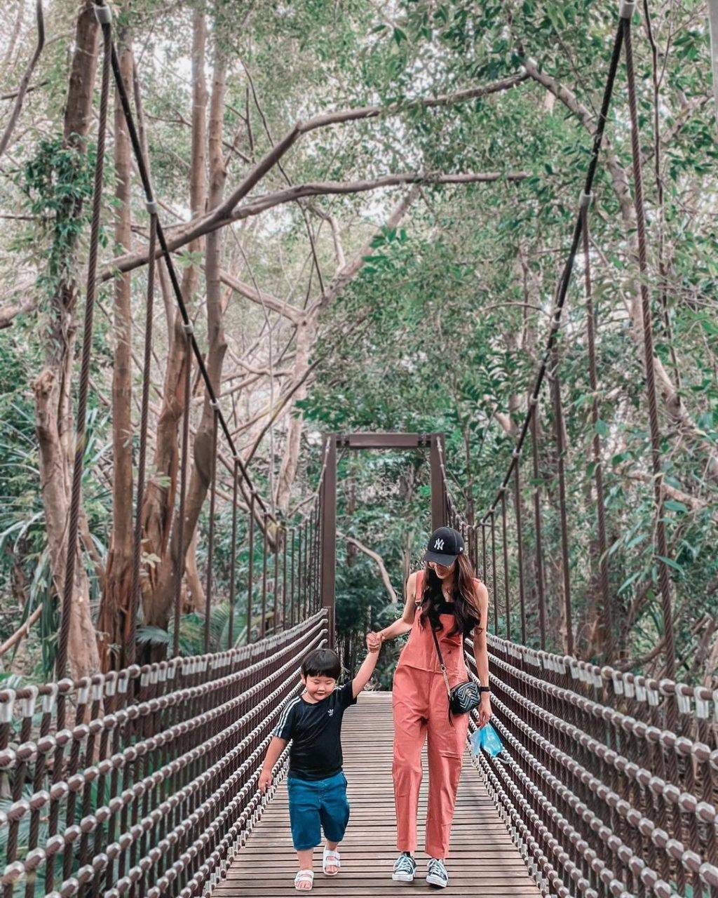 快樂天堂✨ 全亞洲最大兒童花園！花園城市裏的一片綠洲🌳 吊橋、樹屋、空中漫步，周末撒野去