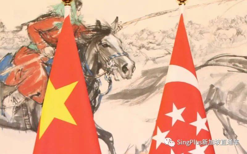 新加坡的“中國造”