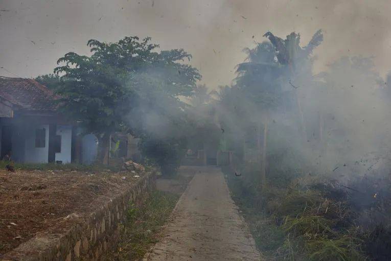 昨早,新加坡全島各處有一股怪味!難道印尼開始燒芭了