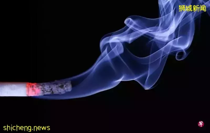 狮城研究：薄荷醇丁香水果等     禁售口味烟或减吸烟率 
