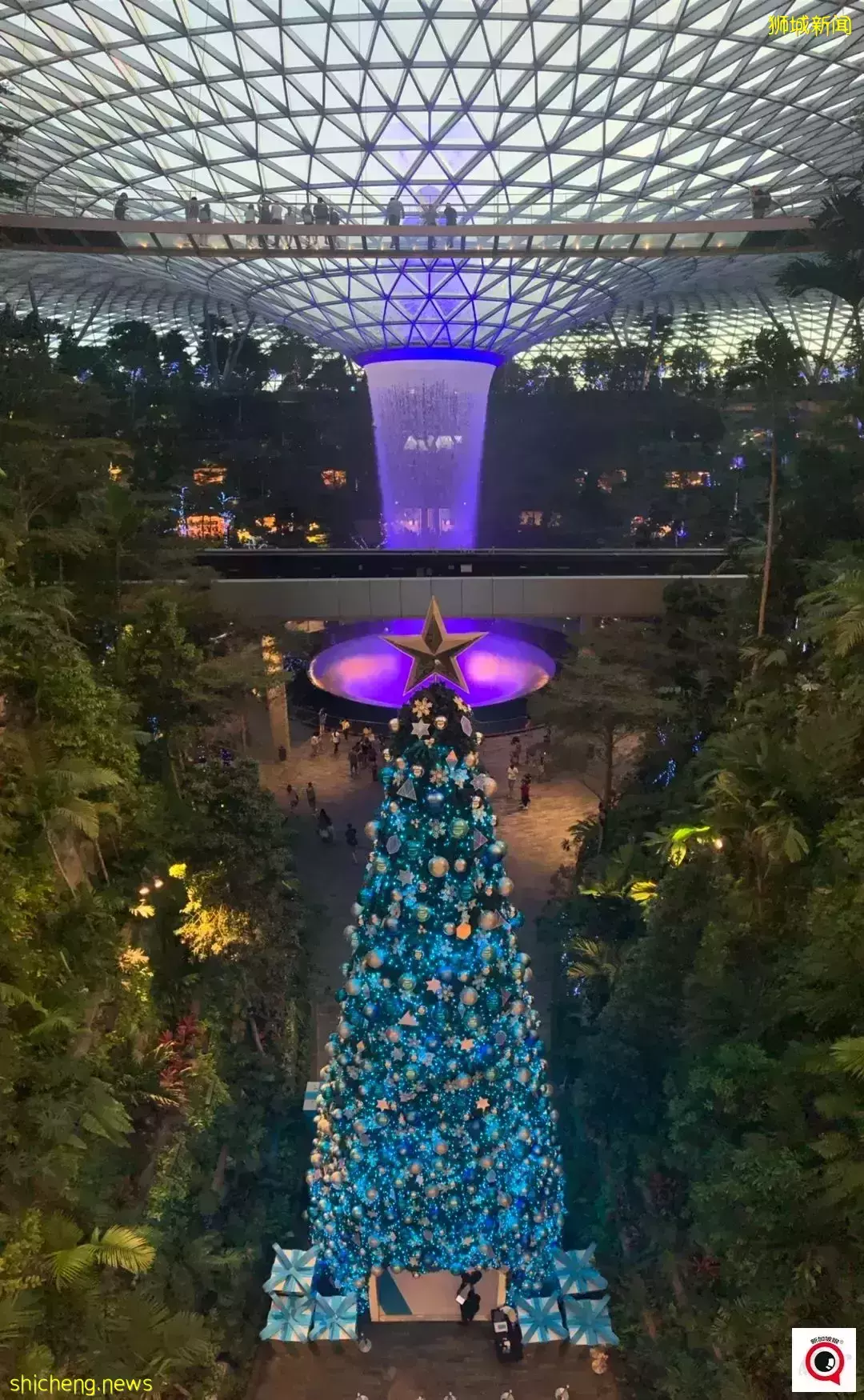 乌节路圣诞装饰实拍!全新加坡2021年最美圣诞树即将揭晓