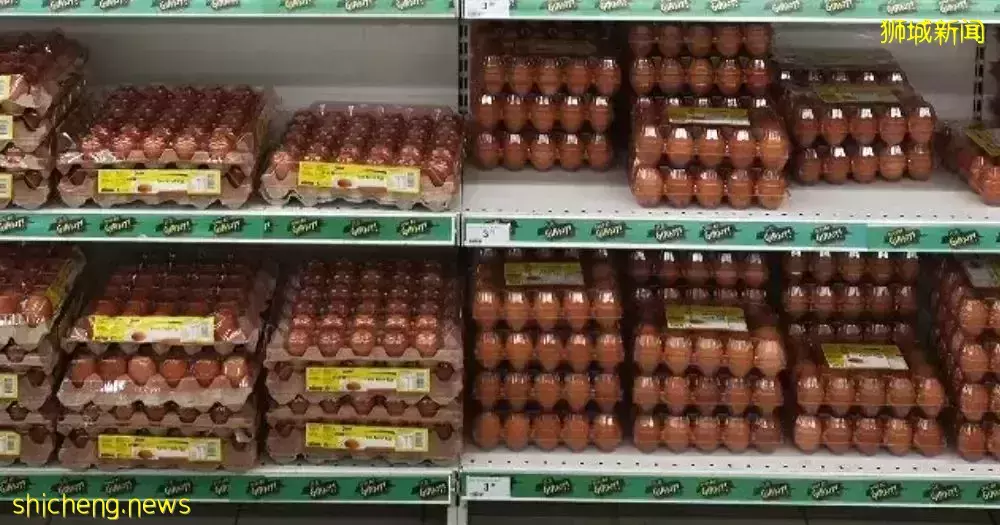 鸡蛋价格飙至50年最高?!货源短缺、新加坡农场出现鸡瘟