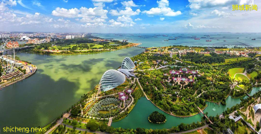 高考後，我要去新加坡上亞洲第一的大學