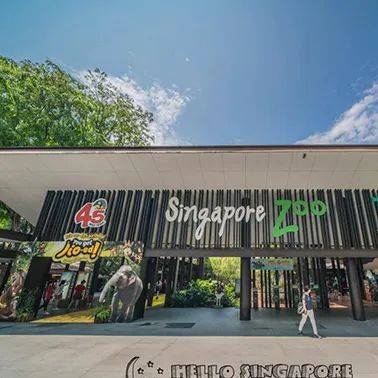 新加坡旅游攻略:好吃、好玩、好住全都有