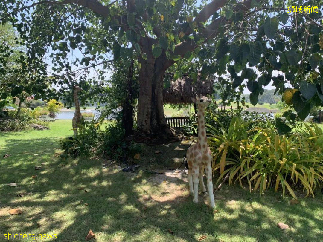 圣淘沙有4套房,还要占用公区!新加坡富豪的邻居不好做