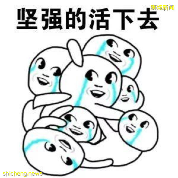 “我,一個人帶兩個娃,在新加坡這樣安排學生假期