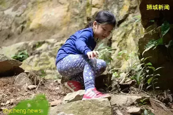 叢林探險、生存挑戰！新加坡戶外學校的6大假期營超級寶藏