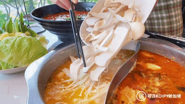 人均$20不到的火鍋+炒菜自助!任點任吃,吃到扶牆出