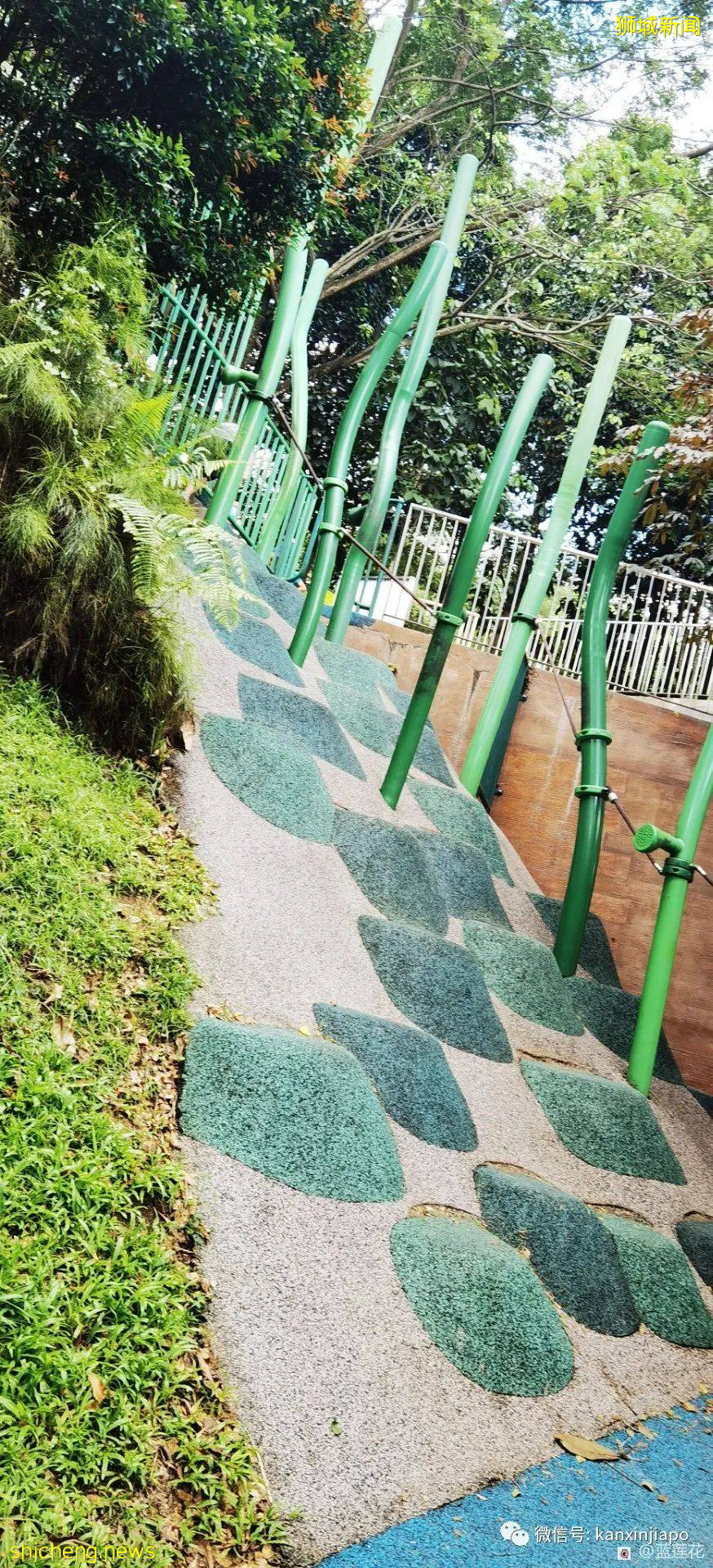 遛娃圣地海军部公园,超多大滑梯,大人孩子一起嗨