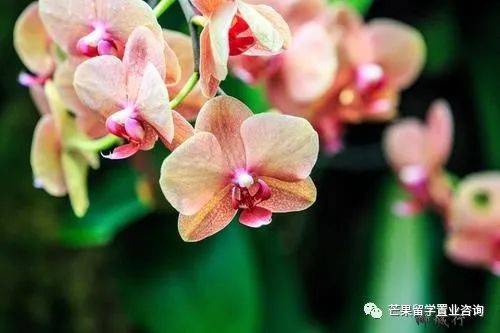 新加坡“親子娛樂”好去處盤點（2）